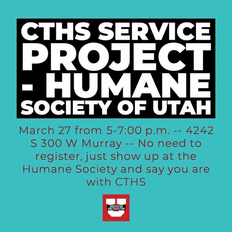 cths service project